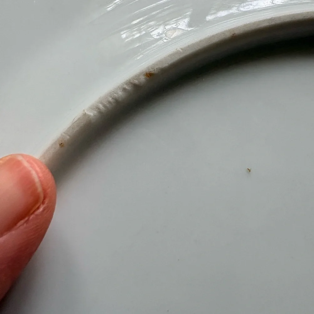 Belvedere by Kaiser W Germany set of 5 White plates ~10.5 in